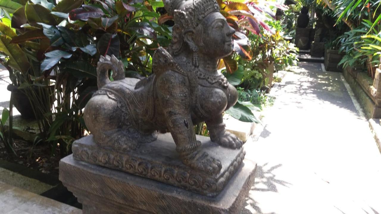 Fibra Casa de hóspedes