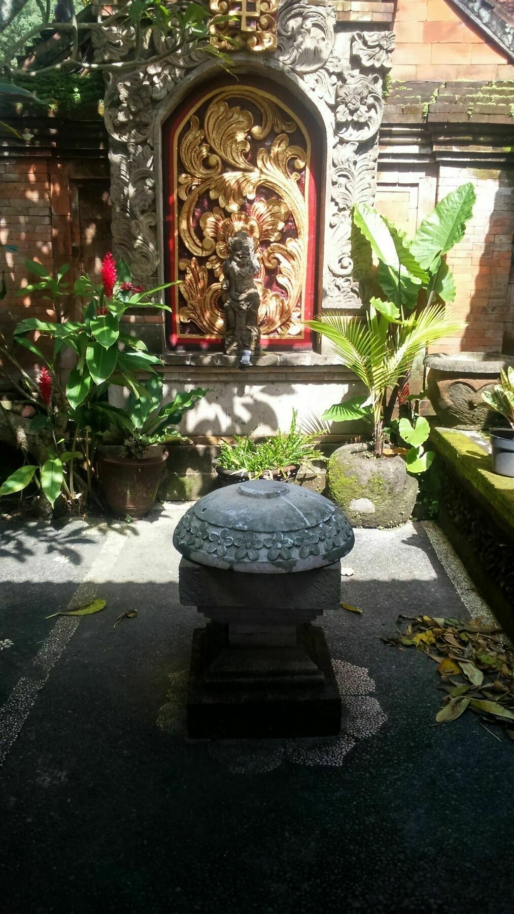 Casa de hóspedes Fibra