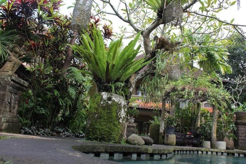 Fibra 3* Ubud