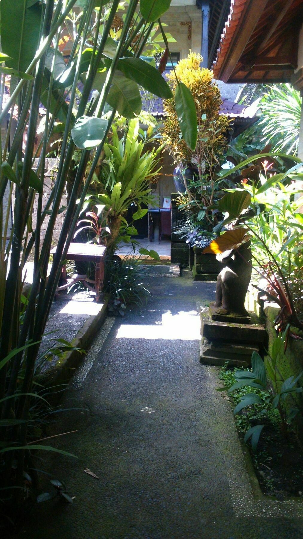 Fibra Ubud